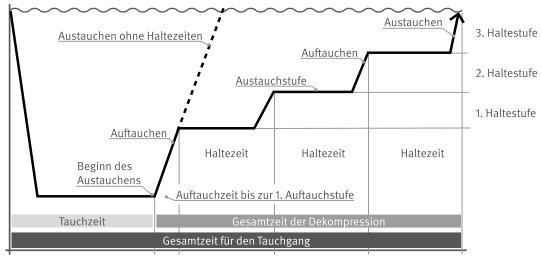 Umwelt Online Demo Bgv C23 Dguv Vorschrift 40 Taucharbeiten 2